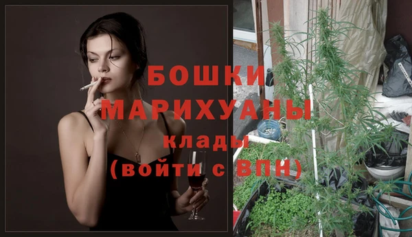 мет Лагань