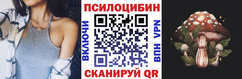 Купить где  Сегежа  Галлюциногенные грибы Magic Shrooms 